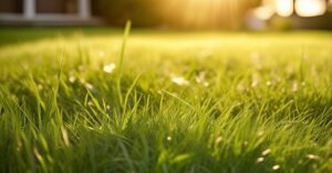 Kiedy ostatni raz nawozić trawnik przed zimą? Poradnik ogrodniczy!